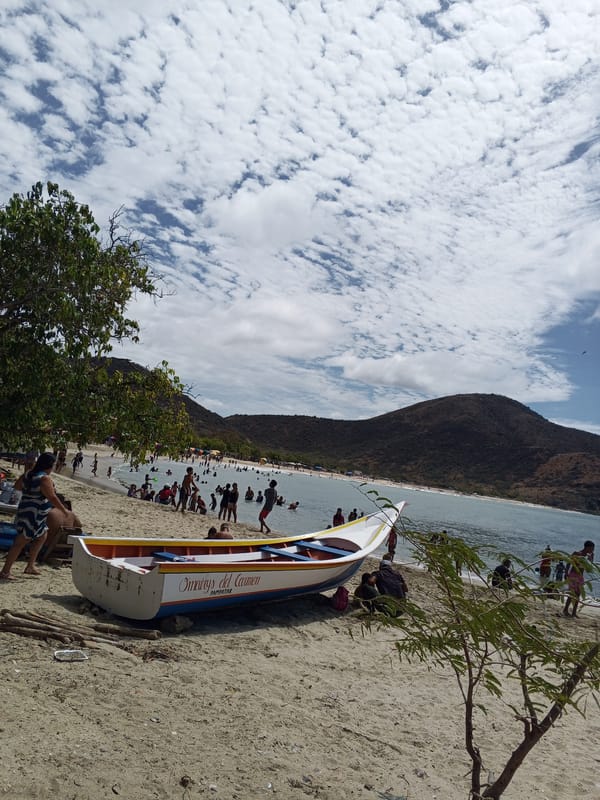 Beachgoers enjoy sunny afternoon at palm-lined coastal location