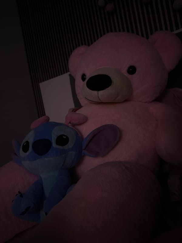 Plush toy collection documented in Sofia bedroom setting
