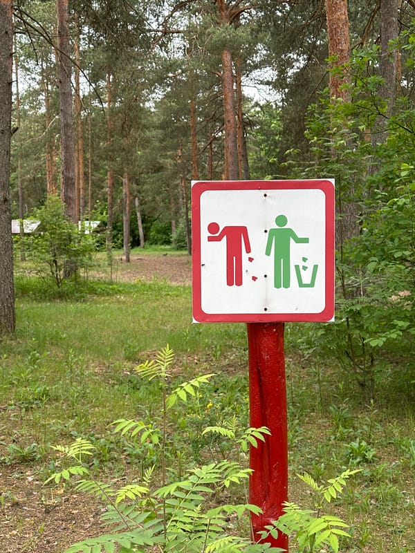 Morning forest walk documented near Vladimir, Russia