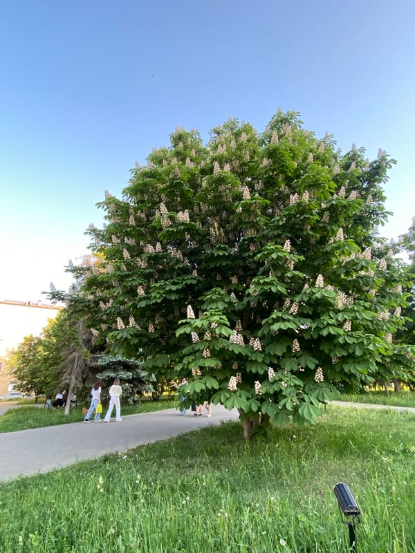 Witness documents ordinary street life across Kazan, Russia