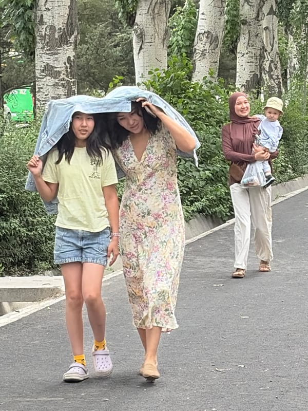 Urban daily life captured across tree-lined streets and markets