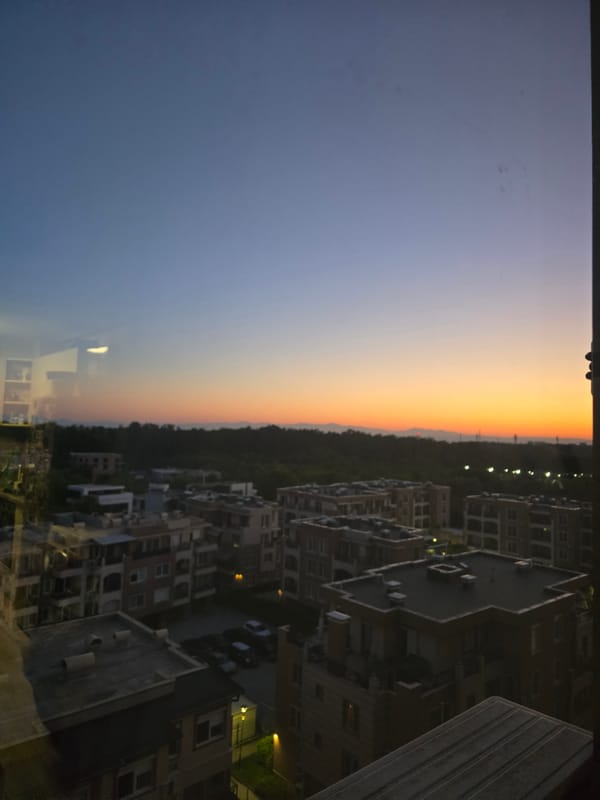 Dawn cityscape captured showing orange horizon through trees
