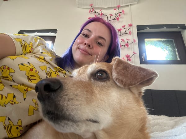 Woman with purple hair, dog photographed on blanket in Zagreb