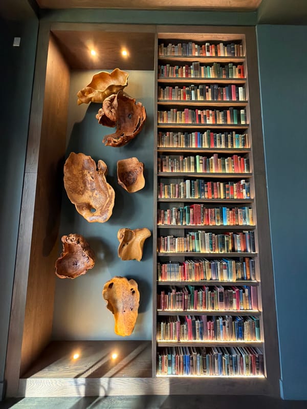 Art collection viewing documented in Greenville featuring sculptures and artifacts
