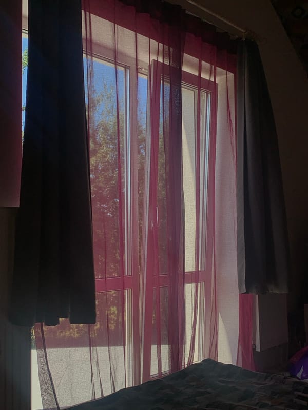 Morning light, bedroom curtains, and garden roses in Minsk