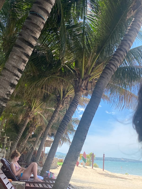 Beach holiday at a Vietnamese resort, palm trees and shoreline