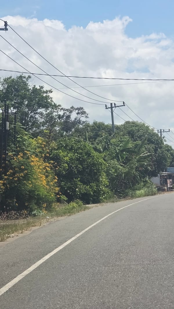 Morning motorcycle traffic observed on curved road in Baroh Musa