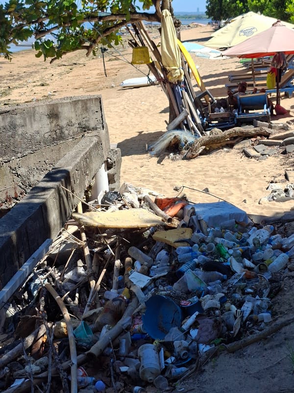 Morning scenes from Denpasar beaches show pollution, commerce, tourism