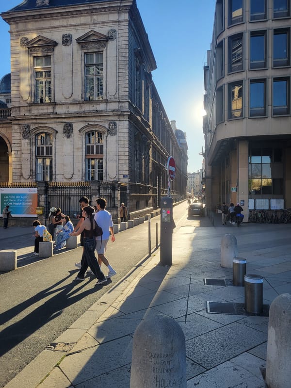 Skateboarders and park gatherings observed in Lyon city center
