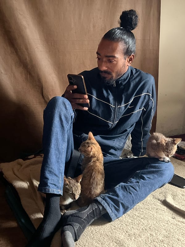 Cats, a tiger tapestry, and street unloading in Jos