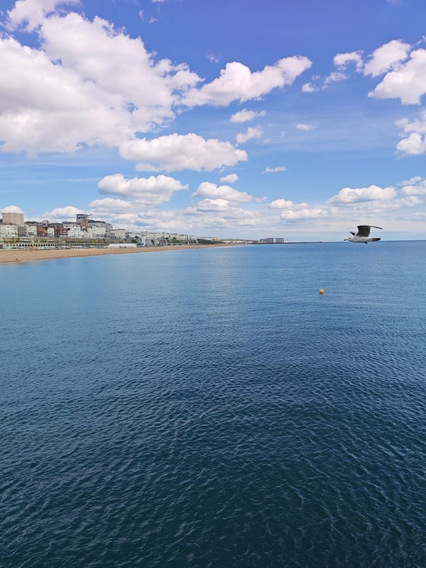 Visitor captures afternoon stroll through Brighton Pier and seafront