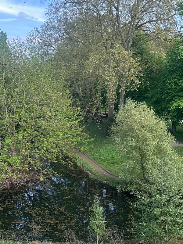 Tranquil park scene documented in Strasbourg on spring afternoon