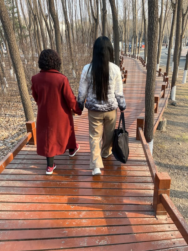 Morning pedestrians navigate Changchun parks and university campus
