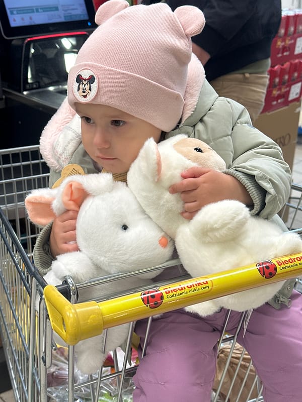 Child with toys shops at Biedronka store in Wisła