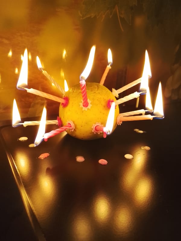 Sunset celebration with candle-decorated fruit documented in Kuyeda, Russia