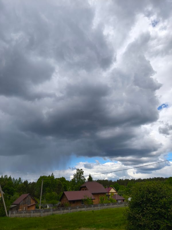 Storm clouds bring brief showers to rural Belarus vineyard