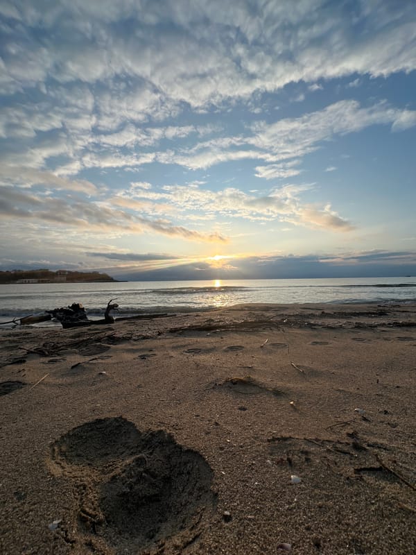 Sunset moments captured at Bulgarian beach with inspirational mug