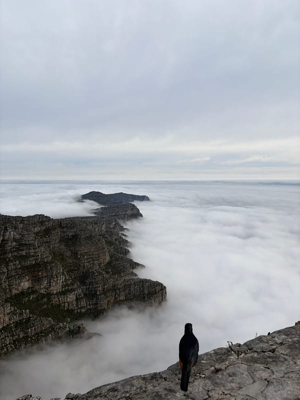 Dense fog blankets Cape Town valley viewed from Table Mountain