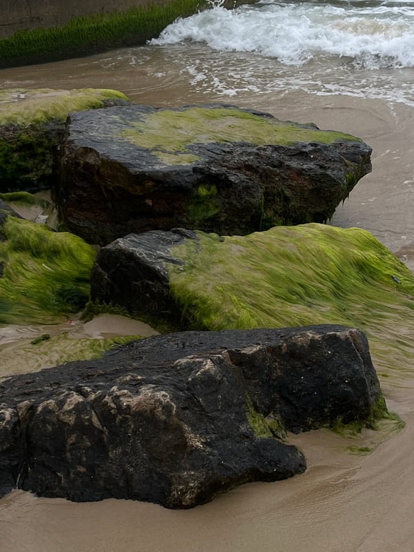 Morning shoreline scenes captured in Tel-Aviv waterfront area