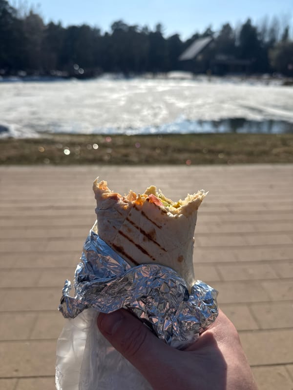 Street food lunch captured in Moscow park