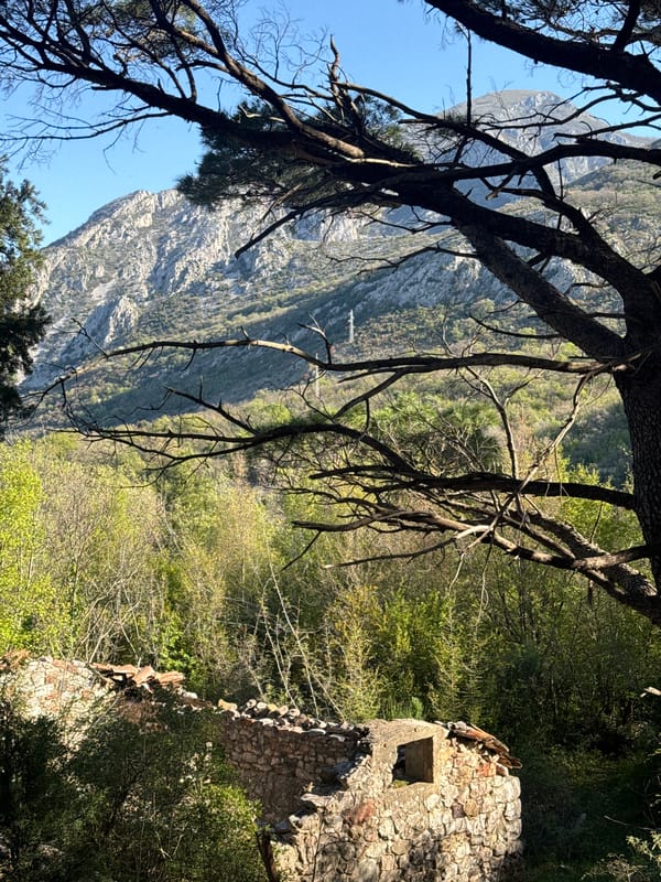 Morning mountain vista documented in Šušanj, Montenegro