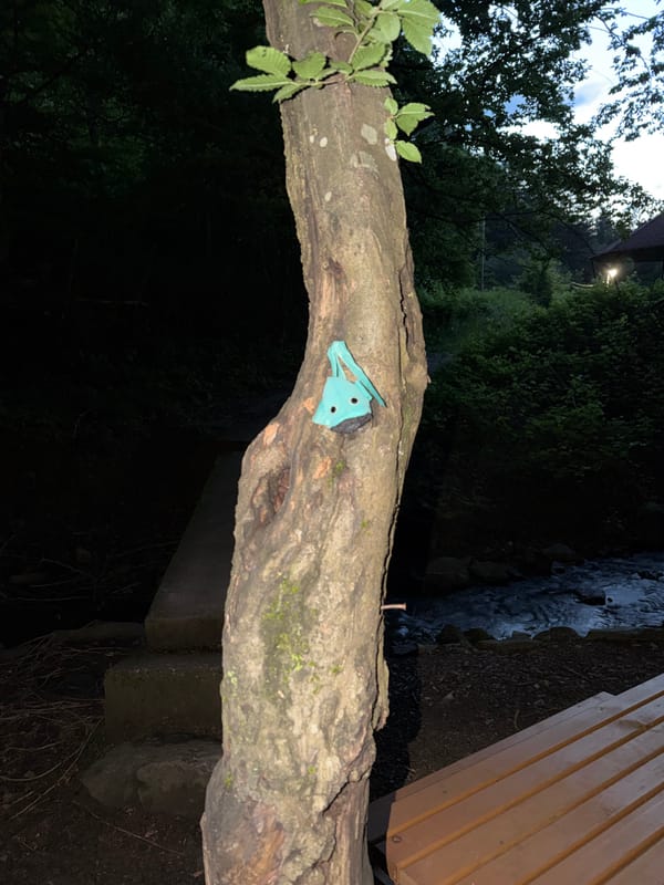 Small object spotted on tree branch in Pravets