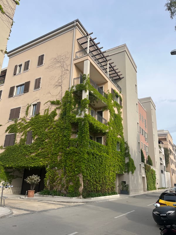 Morning street scenes documented across Tivat, Montenegro