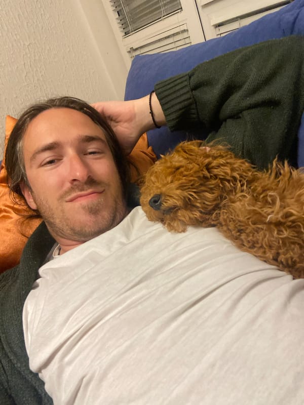 Couple enjoys quiet evening at home with pet dog