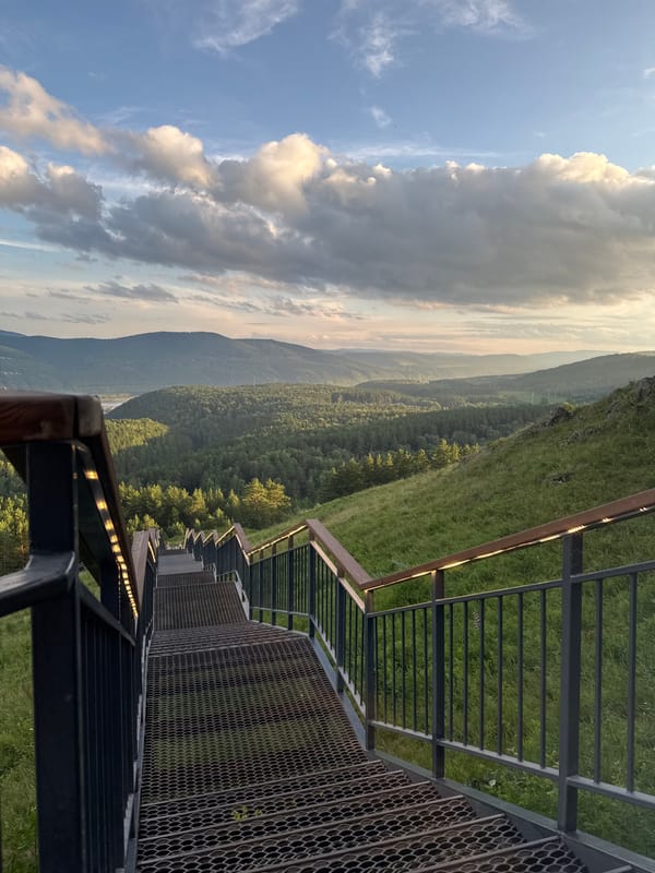 Metal staircase drops into forested valley near Krasnoyarsk