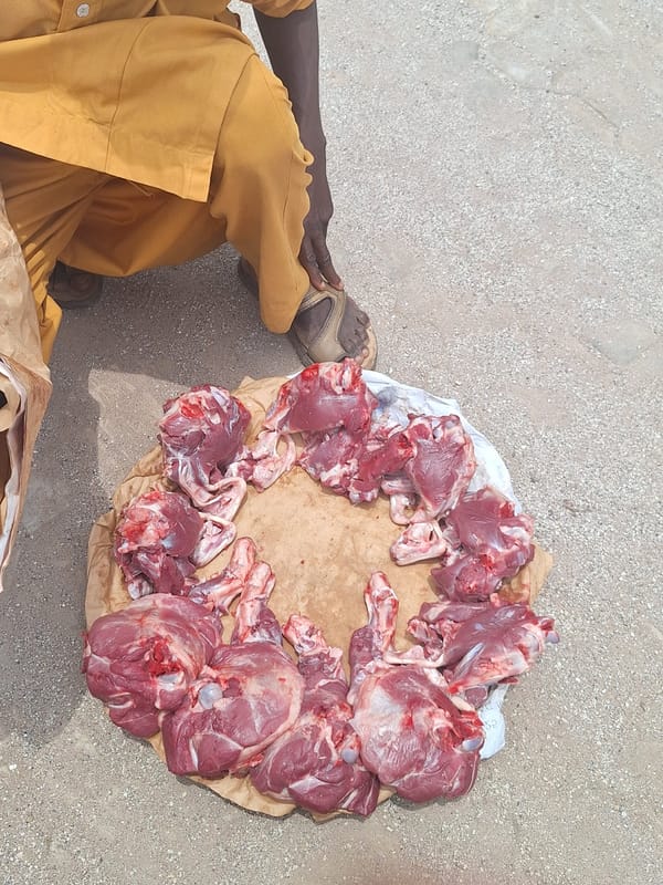 Market day scenes captured in Maiburiji, Nigeria Saturday morning