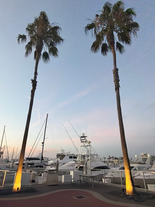 Dawn marina scene captured in Los Angeles harbor