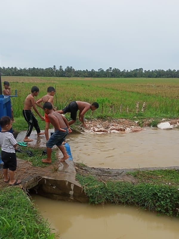 Boys play and swim in rural Indonesian water source