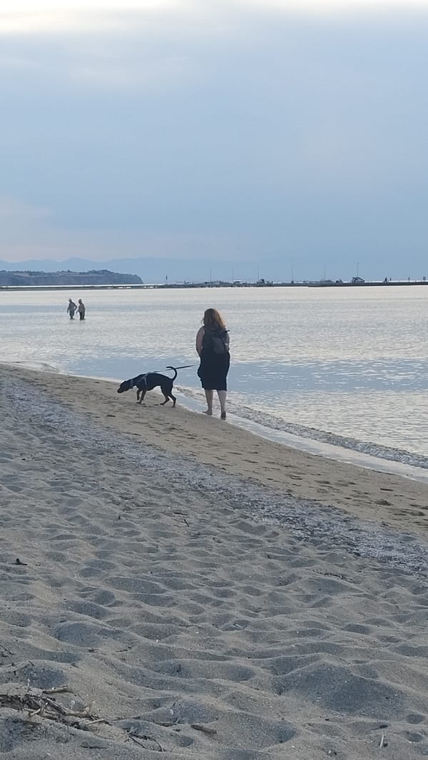 Afternoon beach life documented at Greek seaside resort