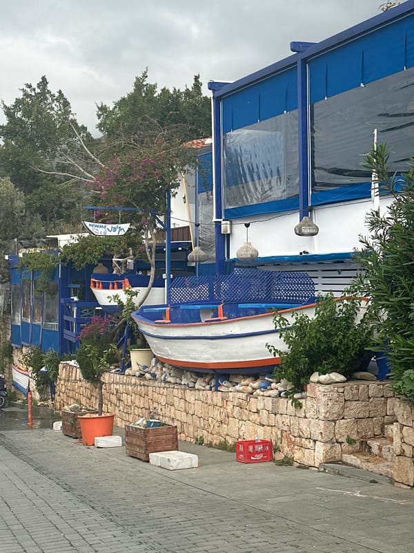 Morning snapshots document everyday life in Turkish coastal town