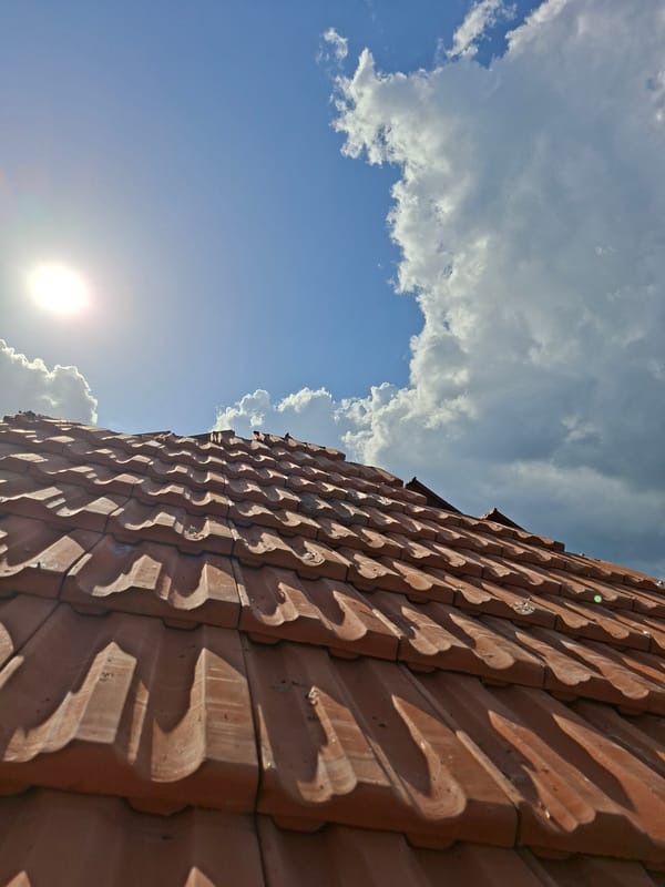 Rural Bulgarian village life: roofing, gardening, pet moments