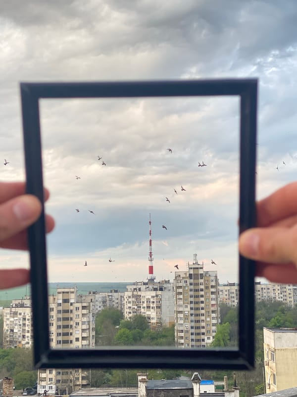 Person frames birds in flight through handheld viewfinder in Bulgaria