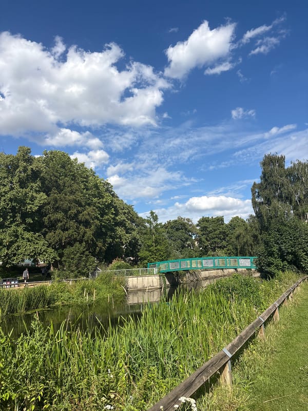 Afternoon stroll through a green urban park with water and art