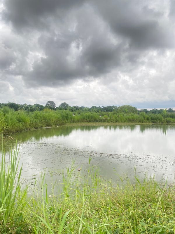 Morning life documented across Davao City neighborhoods under cloudy skies