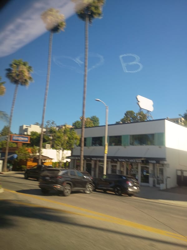 Sunny LA street scene shot wide with motion blur