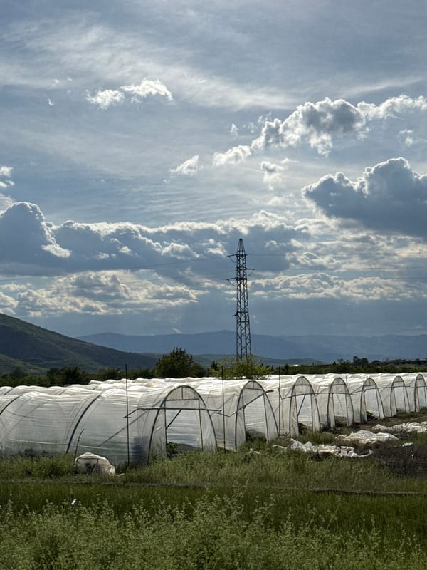 Agricultural tunnels spotted in Krichim, Bulgaria farmland