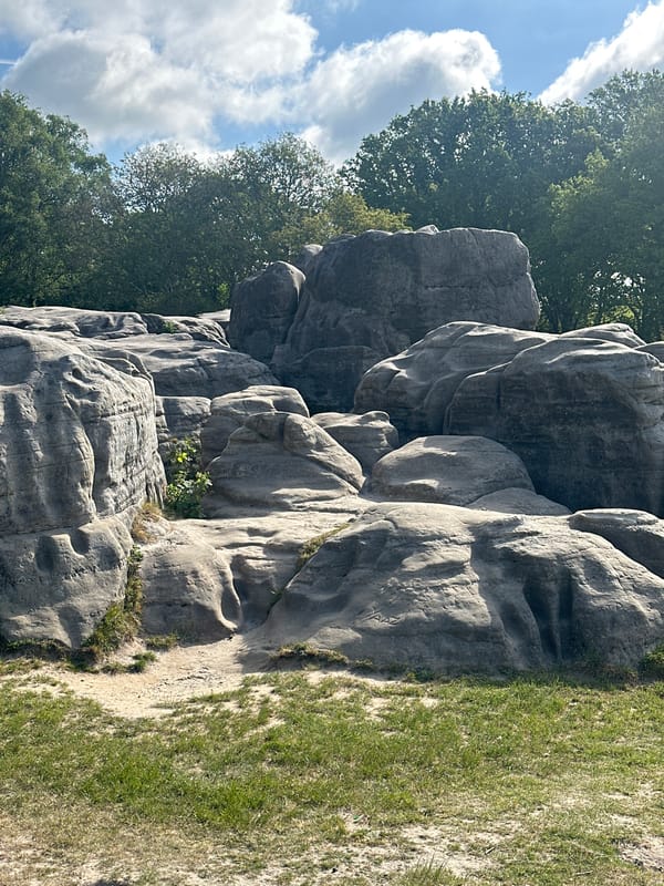 Weathered rock formation documented in Tunbridge Wells landscape
