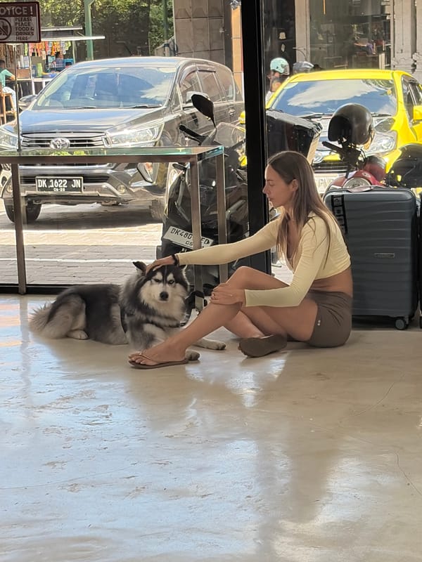 North Kuta retail strip: café, vintage market, and a husky