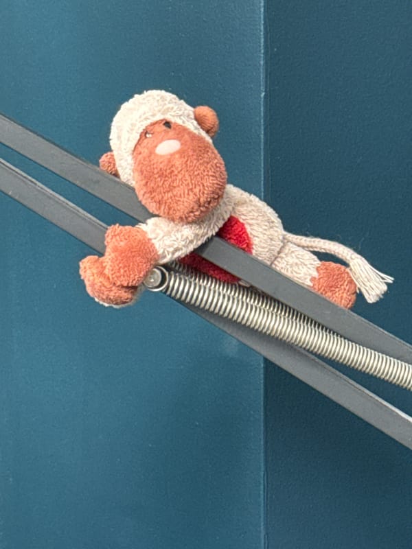 Indoor scenes captured: stuffed toy in lamp, contrasting walls
