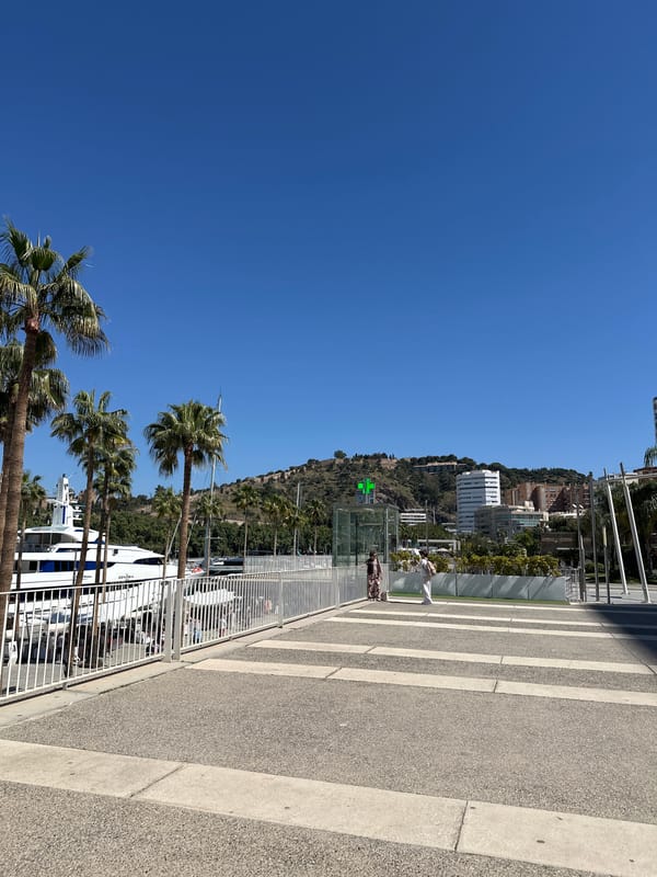 Sunny morning captured along Málaga's palm-lined waterfront and harbor