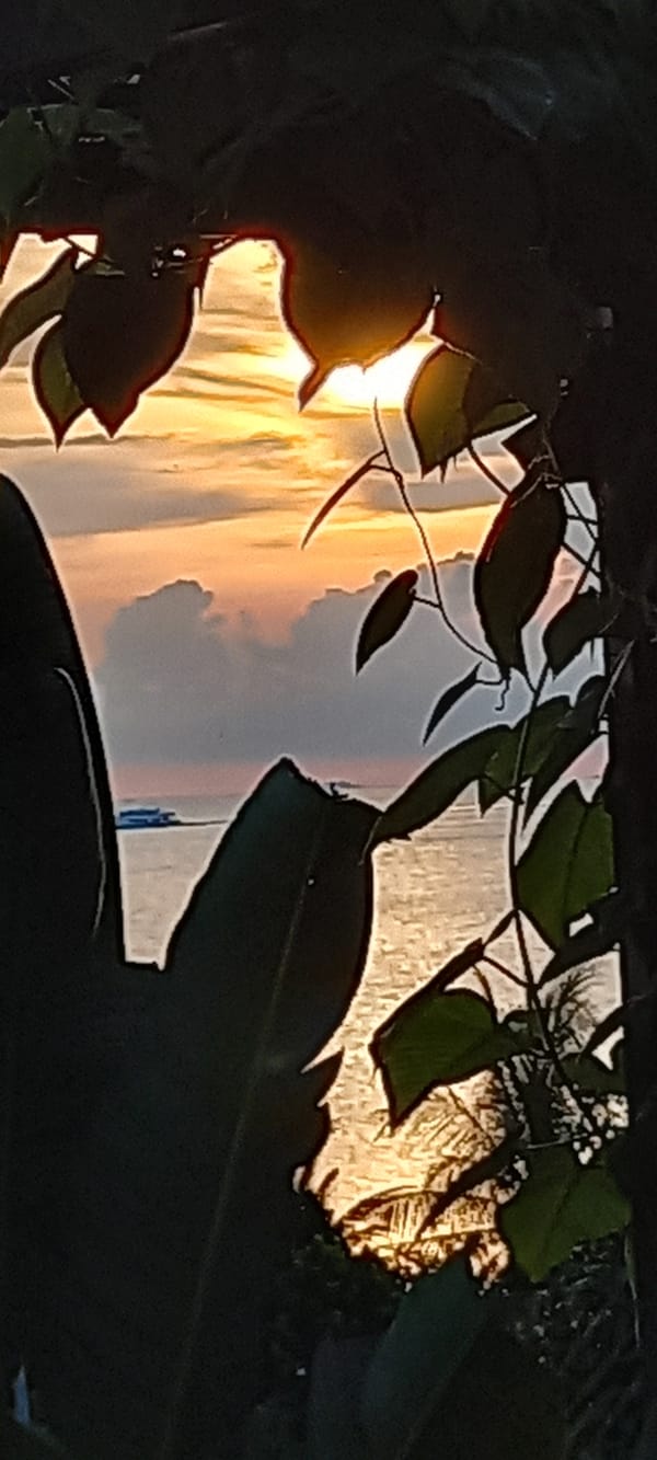 Nature scenes documented in Baan Wok Tum, Thailand