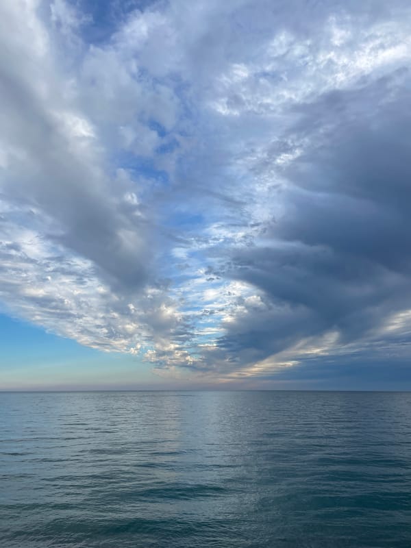 Dog rests in wooden shelter as storm clouds gather over Abkhazia coast