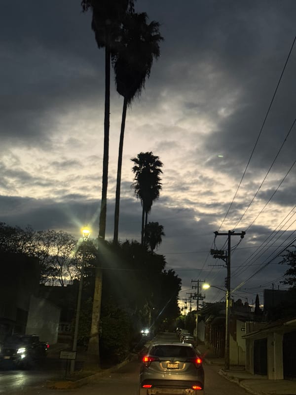 Evening scenes captured in Oaxaca City vehicle and street