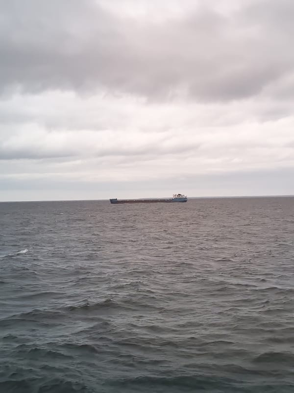 Cargo ship spotted on Russian waters under overcast skies