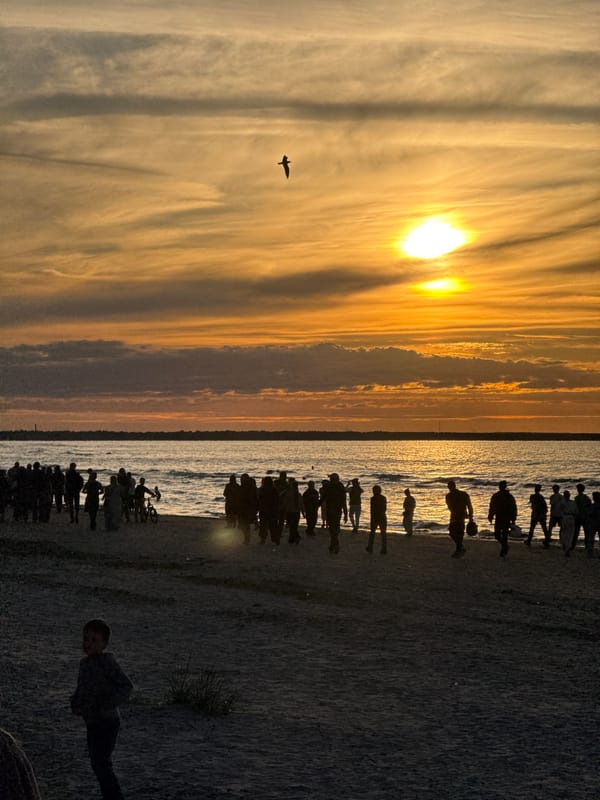Wedding gathering on a Jūrmala beach at sunset