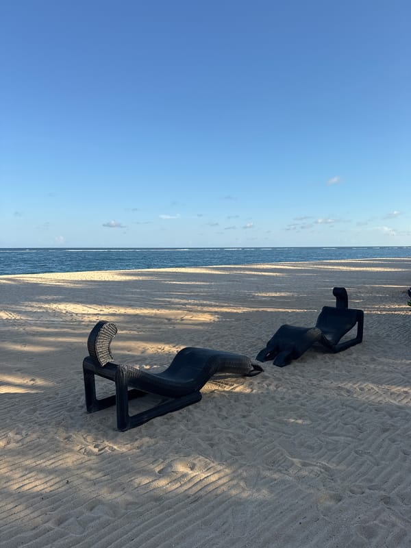 Beach chairs and palm trees documented at Indonesian resort
